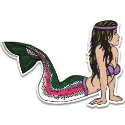 Rainbow Mertrout Sticker - Your Premium Fishing Gear Store Rods Lines Baits Accessories* Fly Fishing