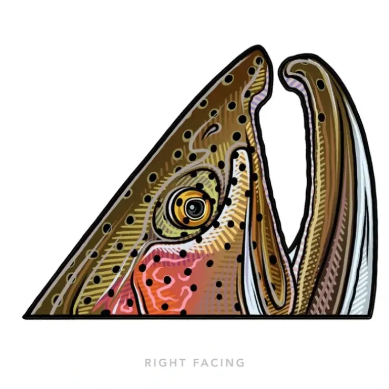 Rainbow Rise Right Sticker - Your Premium Fishing Gear Store Rods Lines Baits Accessories* Fishing Line