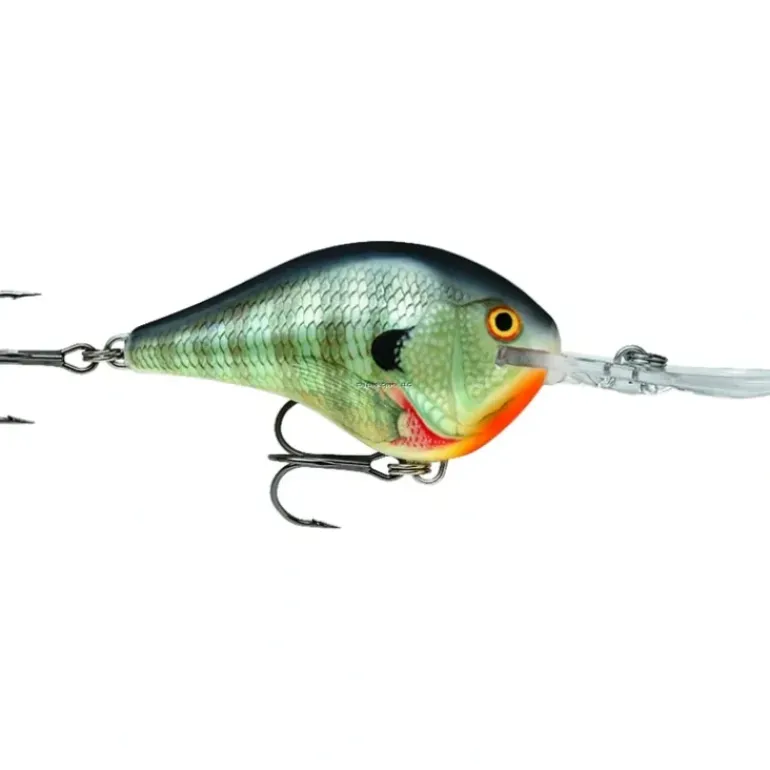 Rapala Dives-To 06 Crankbait, Floating (2", 3/8oz, Assorted Colors) - Your Premium Fishing Gear Store Rods Lines Baits Accessories* Bait