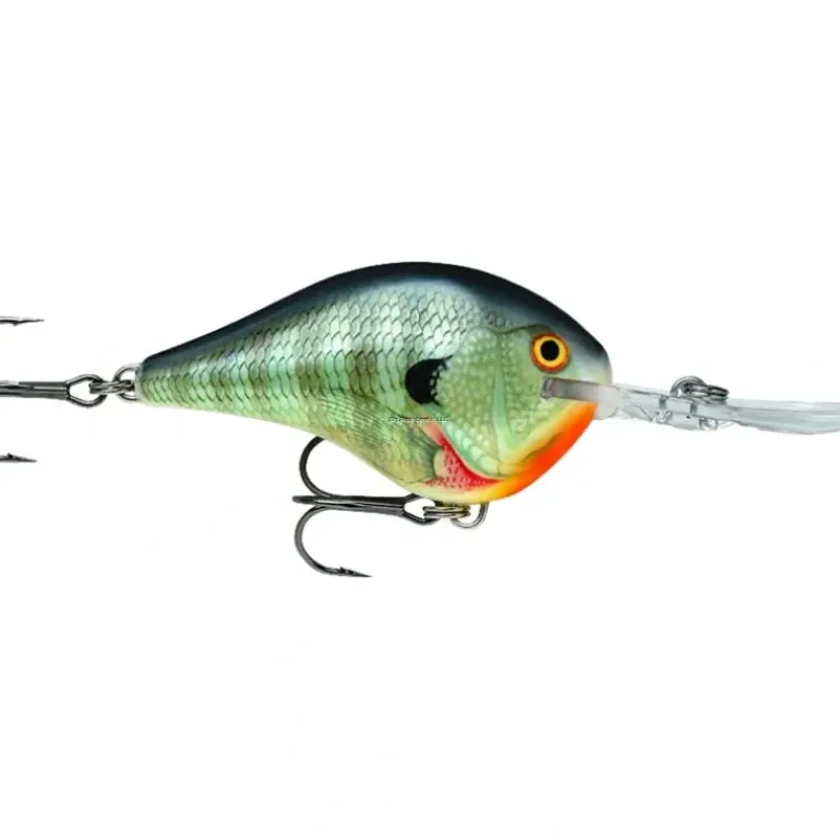 Rapala Dives-To 10 Crankbait, Floating (2-1/4", 3/5oz, Assorted Colors) - Your Premium Fishing Gear Store Rods Lines Baits Accessories* Bait