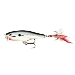 Rapala Skitter Pop Topwater Lure - Your Premium Fishing Gear Store Rods Lines Baits Accessories* Shop All