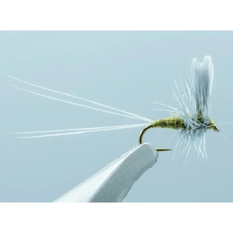Razor Mayfly Baetis #20 - Your Premium Fishing Gear Store Rods Lines Baits Accessories* Fly Fishing