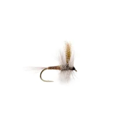 Red Quill - Your Premium Fishing Gear Store Rods Lines Baits Accessories* Fly Fishing