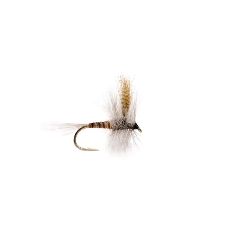 Red Quill - Your Premium Fishing Gear Store Rods Lines Baits Accessories* Fly Fishing