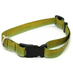Rep Your Water Brook Trout Skin Dog Collar Large - Your Premium Fishing Gear Store Rods Lines Baits Accessories* Shop All