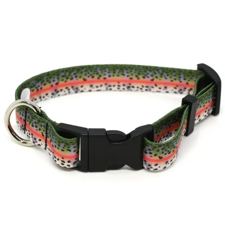 Rep Your Water Rainbow Trout Skin Dog Collar Large - Your Premium Fishing Gear Store Rods Lines Baits Accessories* Shop All