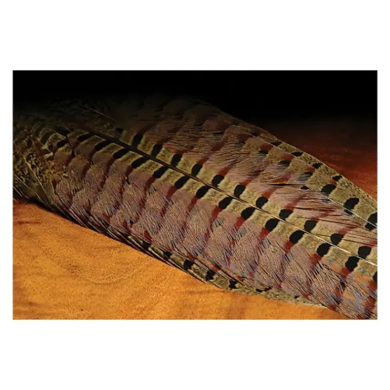 Ringneck Pheasant Complete Tail Clump - Your Premium Fishing Gear Store Rods Lines Baits Accessories* Fly Fishing
