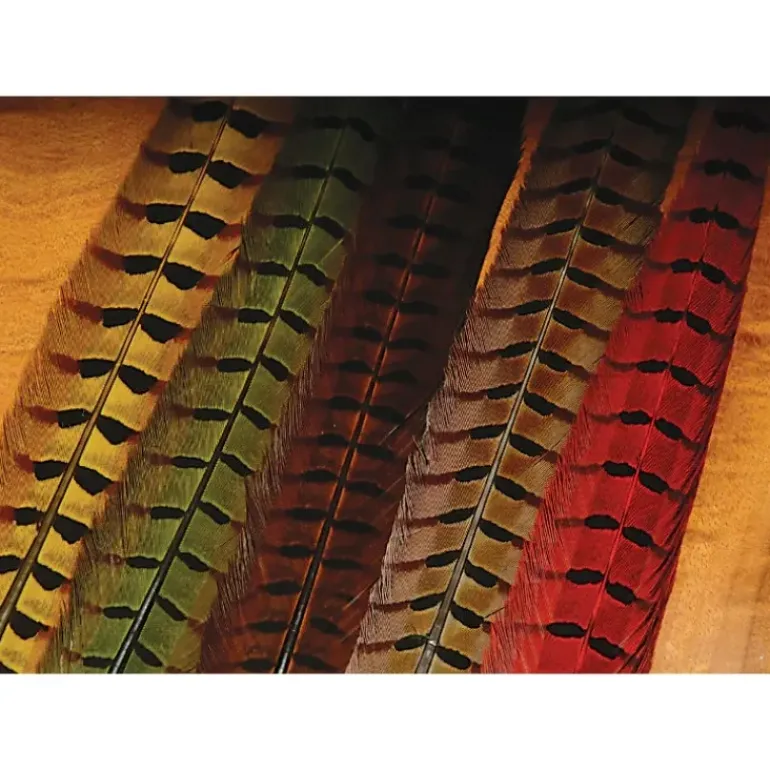 Ringneck Pheasant Tail Feathers - Your Premium Fishing Gear Store Rods Lines Baits Accessories* Shop All