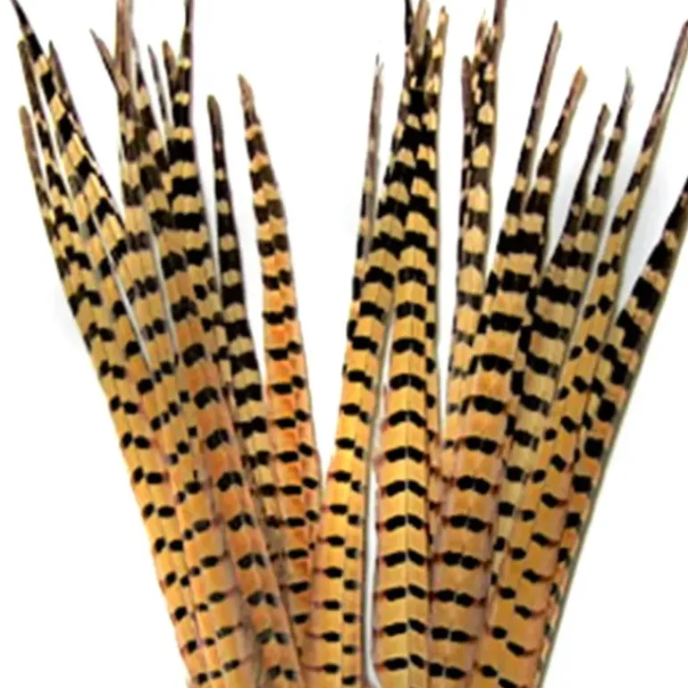 RINGNECK TAIL FEATHERS - 1 PAIR - Your Premium Fishing Gear Store Rods Lines Baits Accessories* Fly Fishing