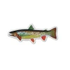 R.L. Winston Cooler Sticker Cutthroat Trout - Your Premium Fishing Gear Store Rods Lines Baits Accessories* Fly Fishing