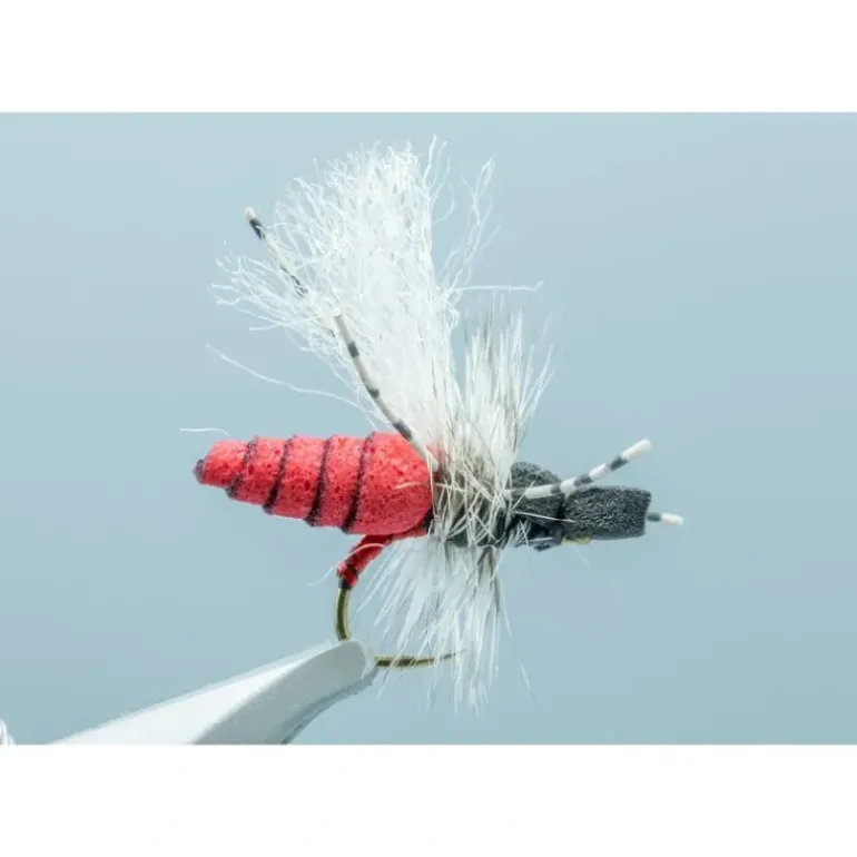 RNY Hegan Ant Black/Red #14 - Your Premium Fishing Gear Store Rods Lines Baits Accessories* Shop All