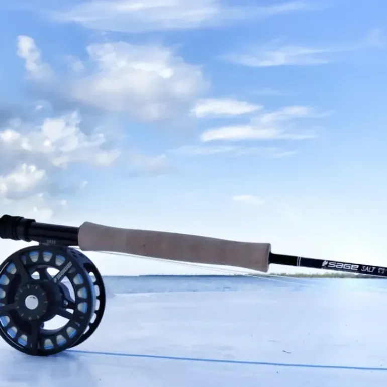 Rod Rental - Salt - Your Premium Fishing Gear Store Rods Lines Baits Accessories* Fishing Line