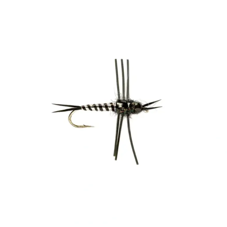 Rosetta Stone Nymph Black - Your Premium Fishing Gear Store Rods Lines Baits Accessories* Shop All