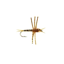 Rosetta Stone Nymph Golden - Your Premium Fishing Gear Store Rods Lines Baits Accessories* Shop All