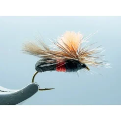 Royal Ant #14 - Your Premium Fishing Gear Store Rods Lines Baits Accessories* Shop All