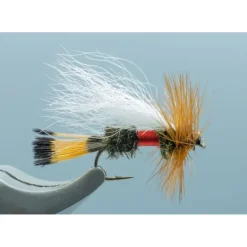 Royal Trude - Your Premium Fishing Gear Store Rods Lines Baits Accessories* Fishing Line