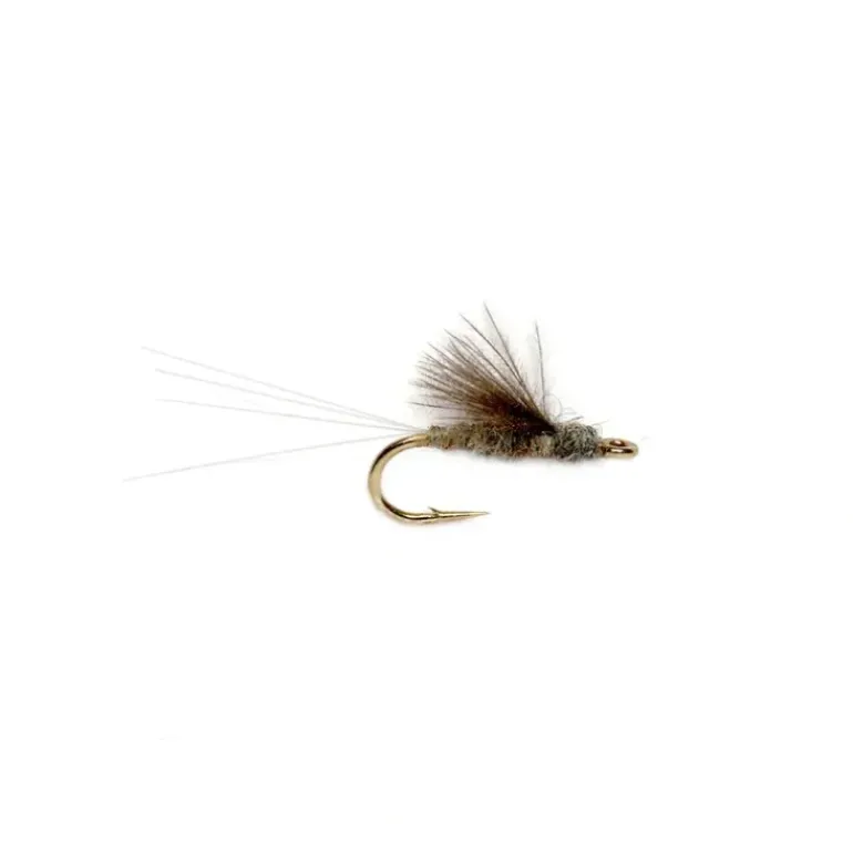 RS2 Gray - Your Premium Fishing Gear Store Rods Lines Baits Accessories* Shop All