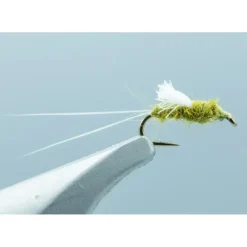 RS2 Olive - 1 Doz. #18 - Your Premium Fishing Gear Store Rods Lines Baits Accessories* Shop All