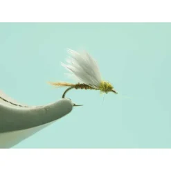 RS2 Olive #18 - Your Premium Fishing Gear Store Rods Lines Baits Accessories* Shop All