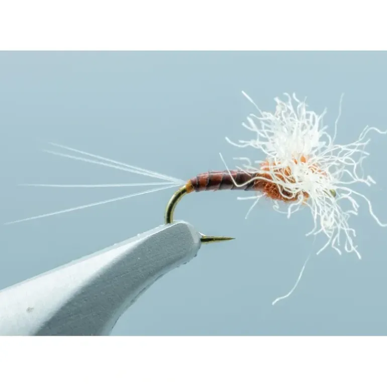 Rusty Spinner - Your Premium Fishing Gear Store Rods Lines Baits Accessories* Shop All