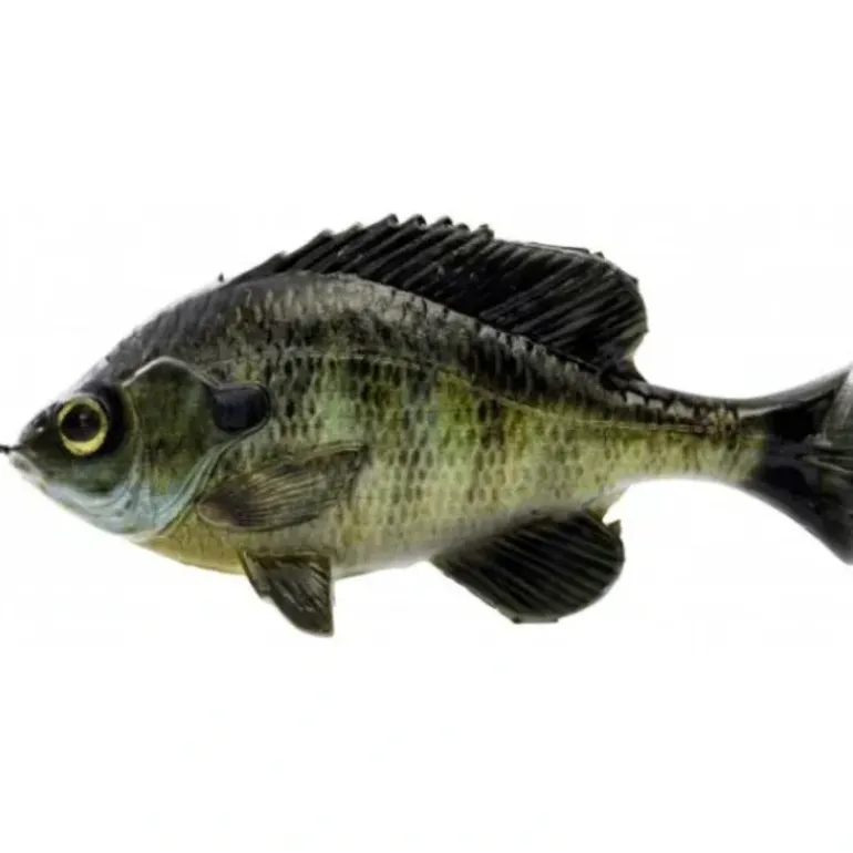 Savage Gear Pulse Tail Bluegill LB - Your Premium Fishing Gear Store Rods Lines Baits Accessories* Bait