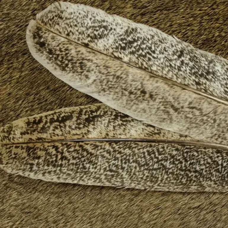Select Ozark Oak Mottled Turkey Quill - Your Premium Fishing Gear Store Rods Lines Baits Accessories* Shop All