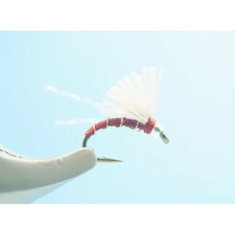 Serendipity Red - 1 Doz. - Your Premium Fishing Gear Store Rods Lines Baits Accessories* Shop All