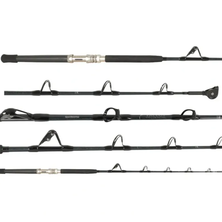Shimano Tallus Stand-Up Straight Butt Rod - Your Premium Fishing Gear Store Rods Lines Baits Accessories* Fishing Line