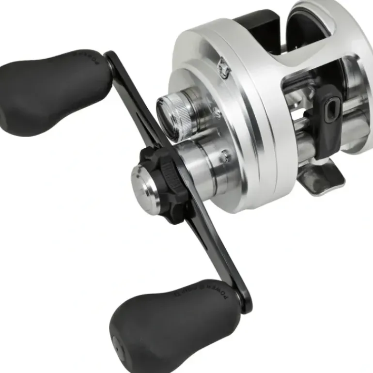 Shimano Calcutta D Reels - Your Premium Fishing Gear Store Rods Lines Baits Accessories* Fishing Line
