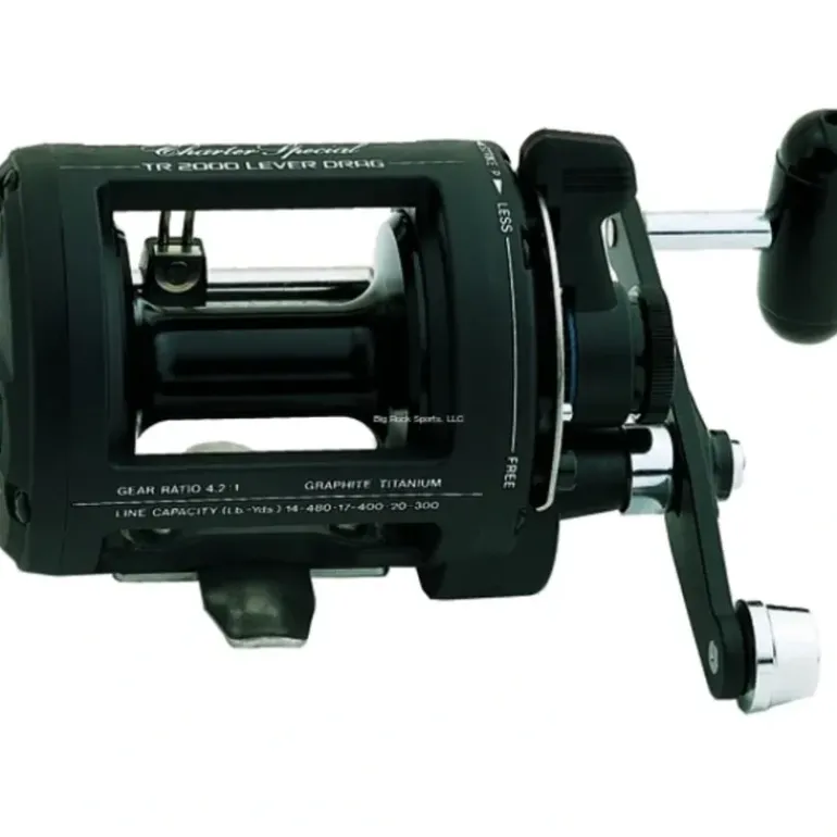 Shimano Charter Special Reels - Your Premium Fishing Gear Store Rods Lines Baits Accessories* Fishing Line