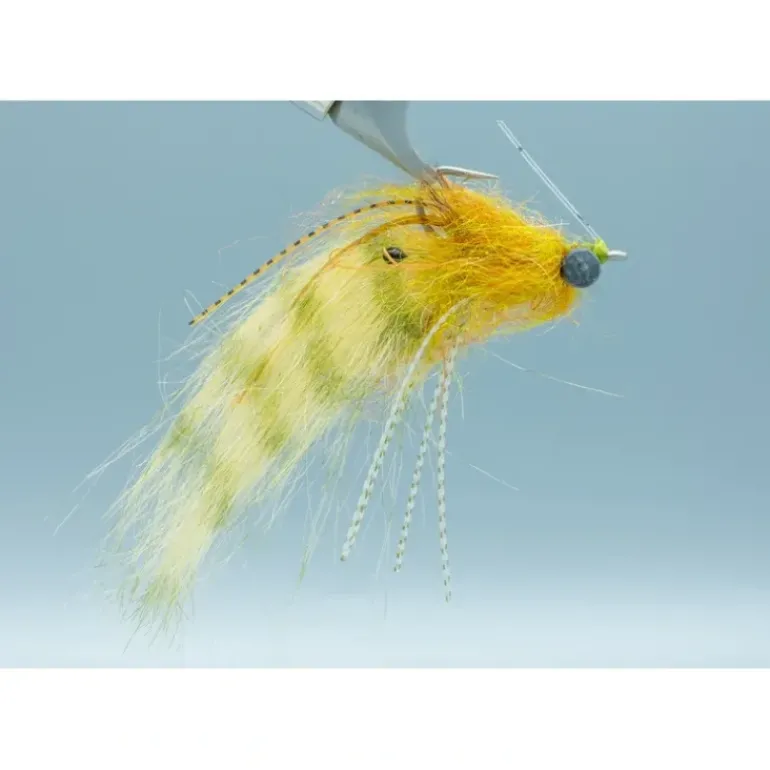 Shrimp Tease - Olive- #2 - Your Premium Fishing Gear Store Rods Lines Baits Accessories* Fly Fishing