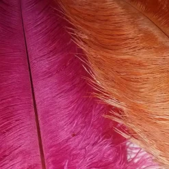 Siskiyou Aviary Ostrich - Your Premium Fishing Gear Store Rods Lines Baits Accessories* Shop All