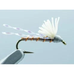 Skinny Dip Brown - 1 Doz. - Your Premium Fishing Gear Store Rods Lines Baits Accessories* Shop All