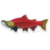 Sockeye Sticker - Your Premium Fishing Gear Store Rods Lines Baits Accessories* Shop All