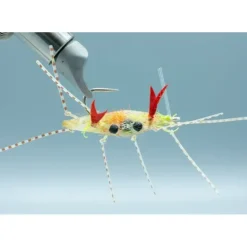 Soft Shell Crab Tan - Orange Egg - #1 - Your Premium Fishing Gear Store Rods Lines Baits Accessories* Shop All