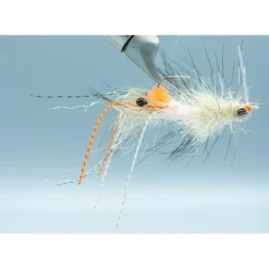 Spawning Shrimp Coyote - Your Premium Fishing Gear Store Rods Lines Baits Accessories* Shop All