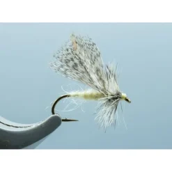Spent Part Spruce Moth Cream #14 - Your Premium Fishing Gear Store Rods Lines Baits Accessories* Shop All