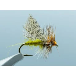 Spent Partridge Caddis Olive #16 - Your Premium Fishing Gear Store Rods Lines Baits Accessories* Fly Fishing