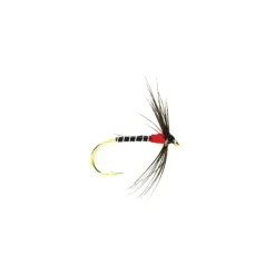 Spider Red Hot Spot - Your Premium Fishing Gear Store Rods Lines Baits Accessories* Shop All