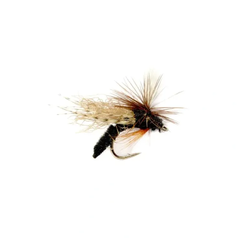 Spotlight Caddis Emerger Black - Your Premium Fishing Gear Store Rods Lines Baits Accessories* Fly Fishing