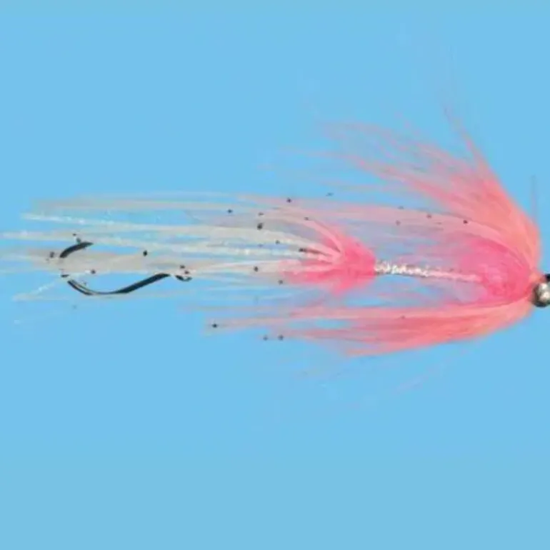 Squidro - Your Premium Fishing Gear Store Rods Lines Baits Accessories* Fly Fishing