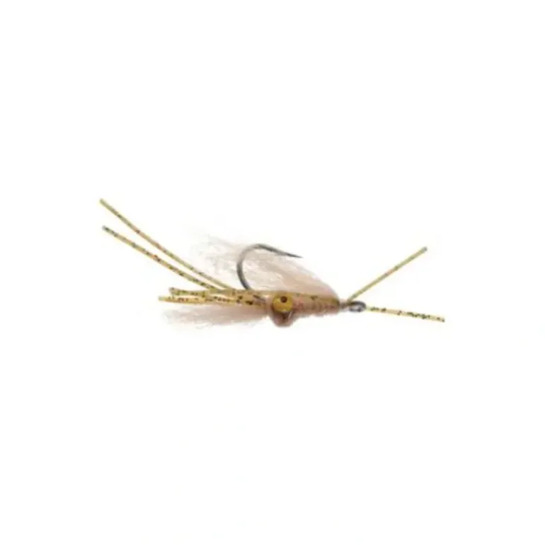 Squimp - Your Premium Fishing Gear Store Rods Lines Baits Accessories* Shop All