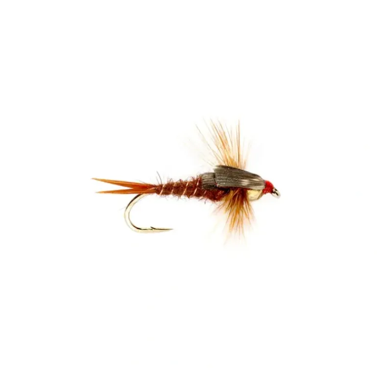 Stonefly Nymph Brown Tungsten Beadhead - Your Premium Fishing Gear Store Rods Lines Baits Accessories* Fly Fishing