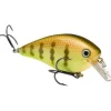 Strike King KVD - Your Premium Fishing Gear Store Rods Lines Baits Accessories* Bait