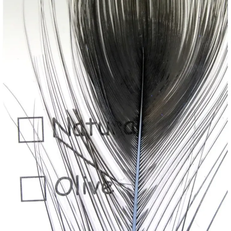 Stripped Peacock Eye - Your Premium Fishing Gear Store Rods Lines Baits Accessories* Shop All