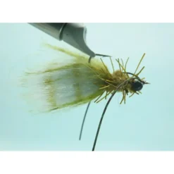 Suppository Olive #4 - Your Premium Fishing Gear Store Rods Lines Baits Accessories* Shop All