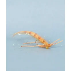 Tailer's Beware - Your Premium Fishing Gear Store Rods Lines Baits Accessories* Shop All