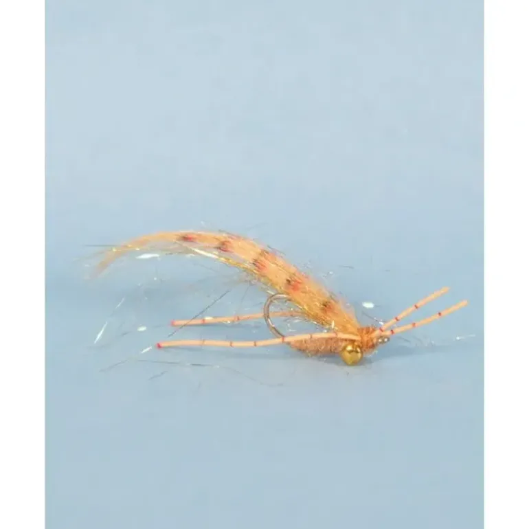 Tailer's Beware - Your Premium Fishing Gear Store Rods Lines Baits Accessories* Shop All