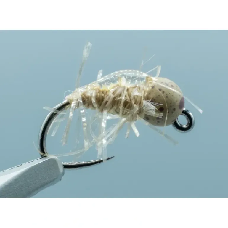 TBH Scud Muffin Tan #14 - Your Premium Fishing Gear Store Rods Lines Baits Accessories* Shop All
