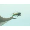 TBH Super Pupa Bright Green #16 - Your Premium Fishing Gear Store Rods Lines Baits Accessories* Shop All